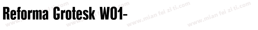 Reforma Grotesk W01字体转换